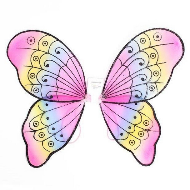 Rainbow butterfly wings